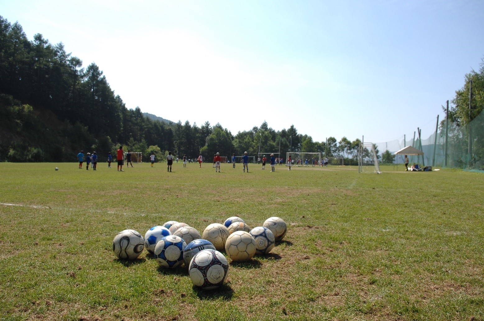 サッカー合宿 株式会社総合体育研究所埼玉 サッカー合宿 株式会社総合体育研究所埼玉